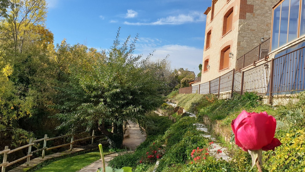 Photo of Outdoor in La Salceda