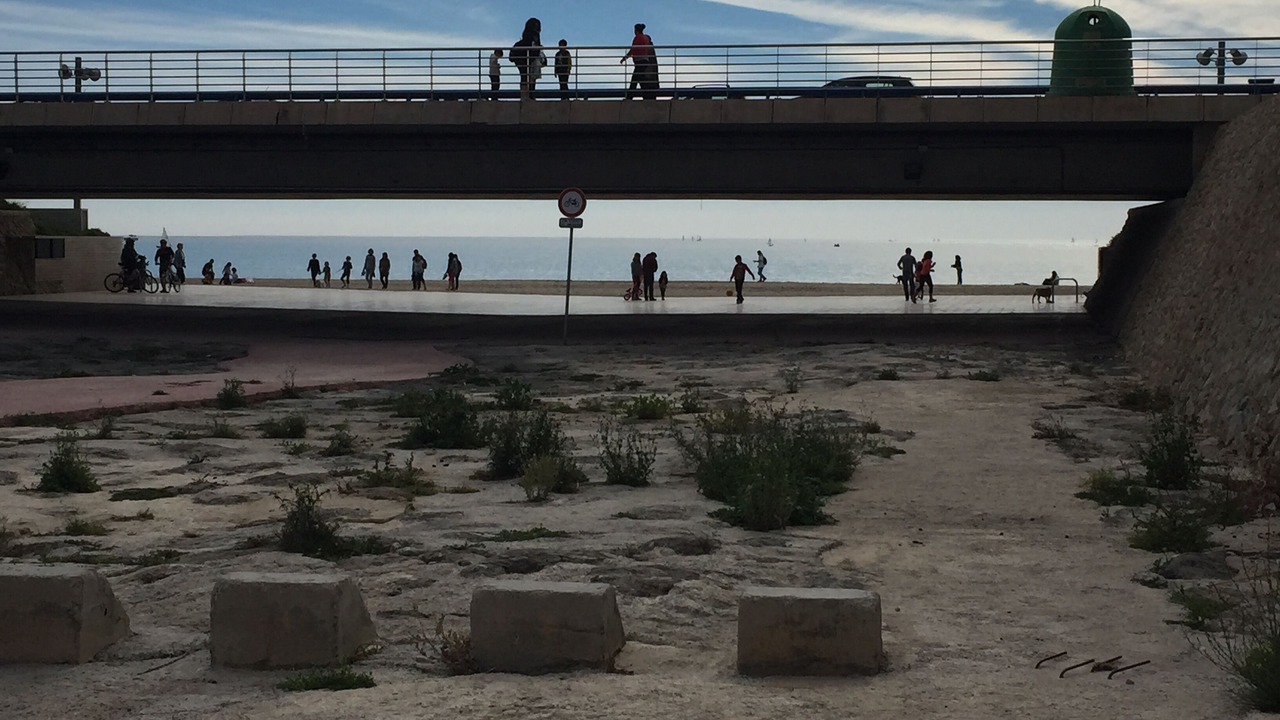 Photo of Outdoor in L'Albufereta