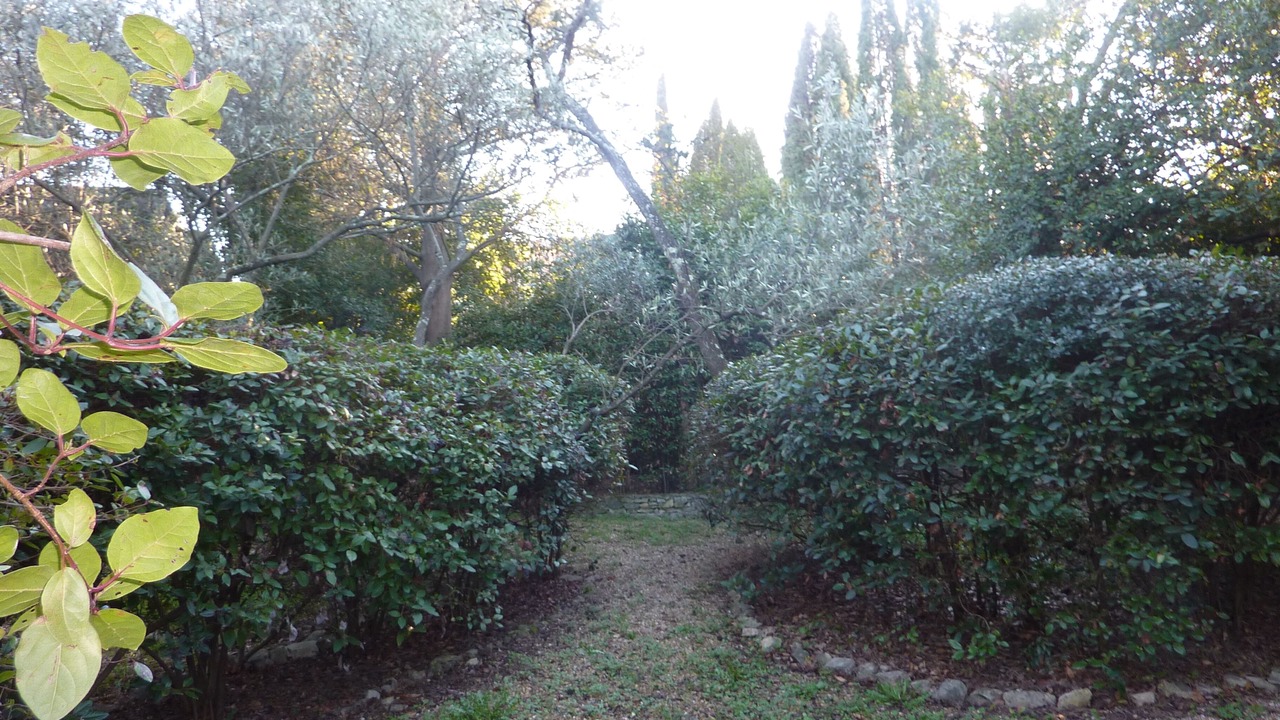 Photo of Outdoor in Mont Duplan