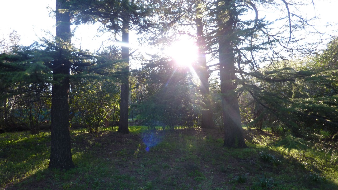 Photo of Outdoor in Mont Duplan