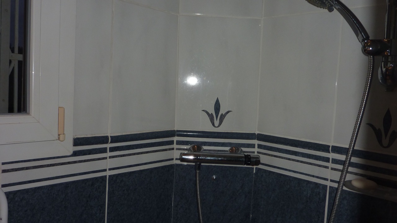 Photo of Bathroom in Mont Duplan