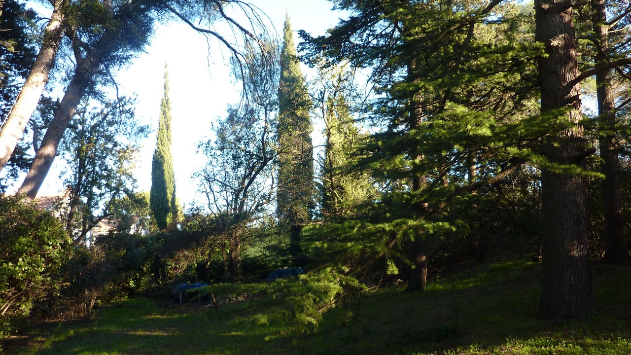 Photo of Outdoor in Mont Duplan
