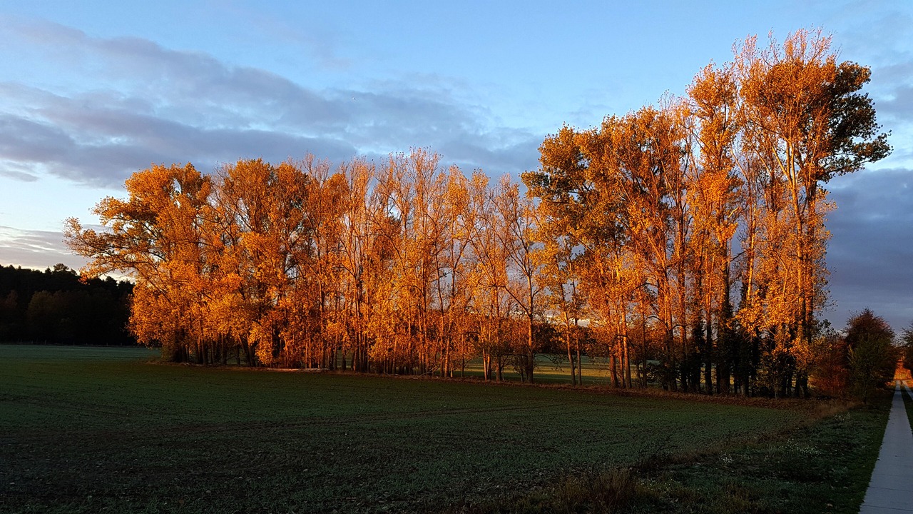 Photo of Outdoor in Bulstringen