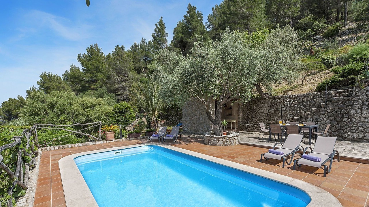 Photo of Outdoor in Selva