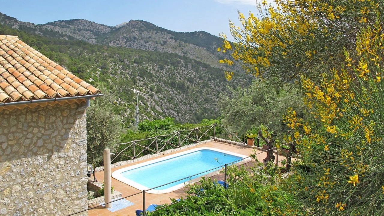 Photo of Outdoor in Selva