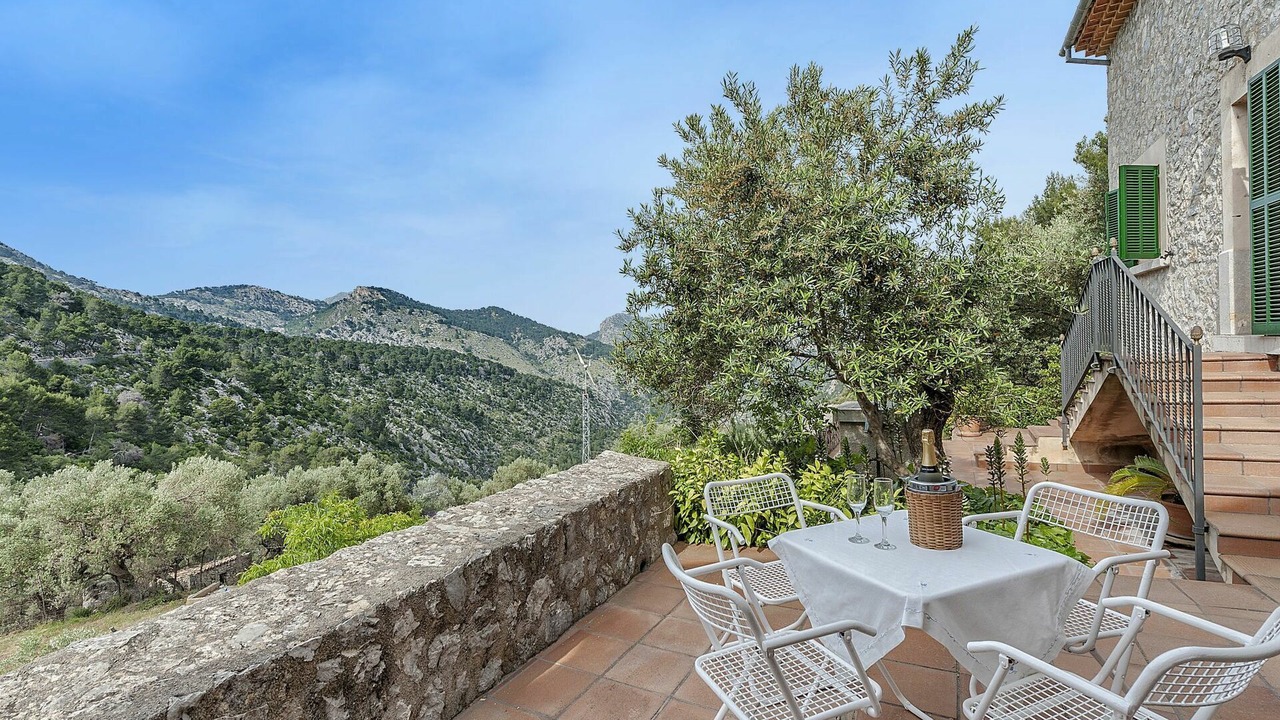 Photo of Outdoor in Selva