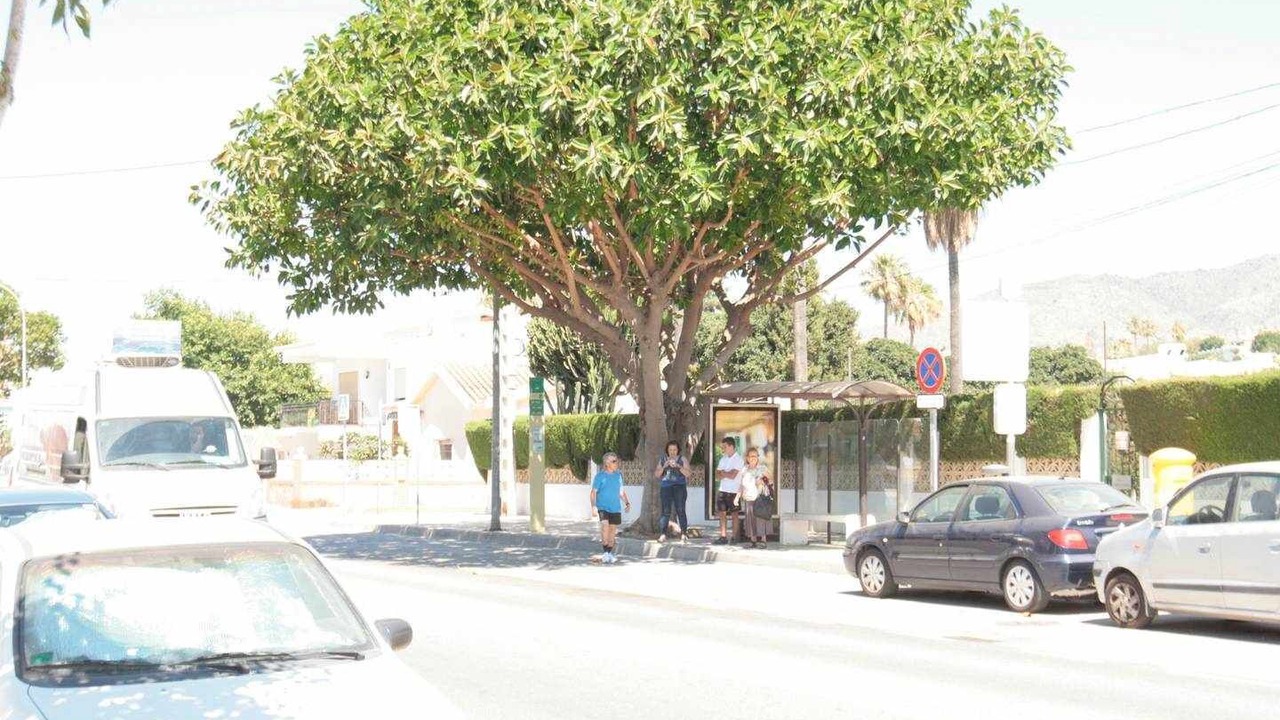 Photo of Others in Torre de Benagalbon