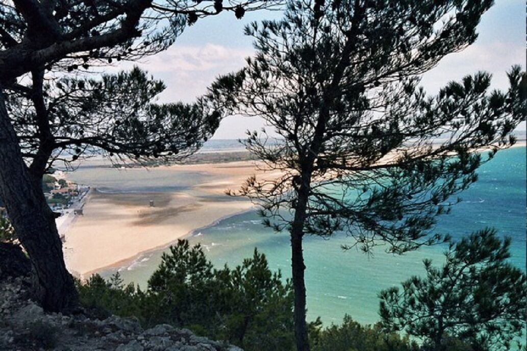 Photo of Others in Roquefort-des-Corbieres