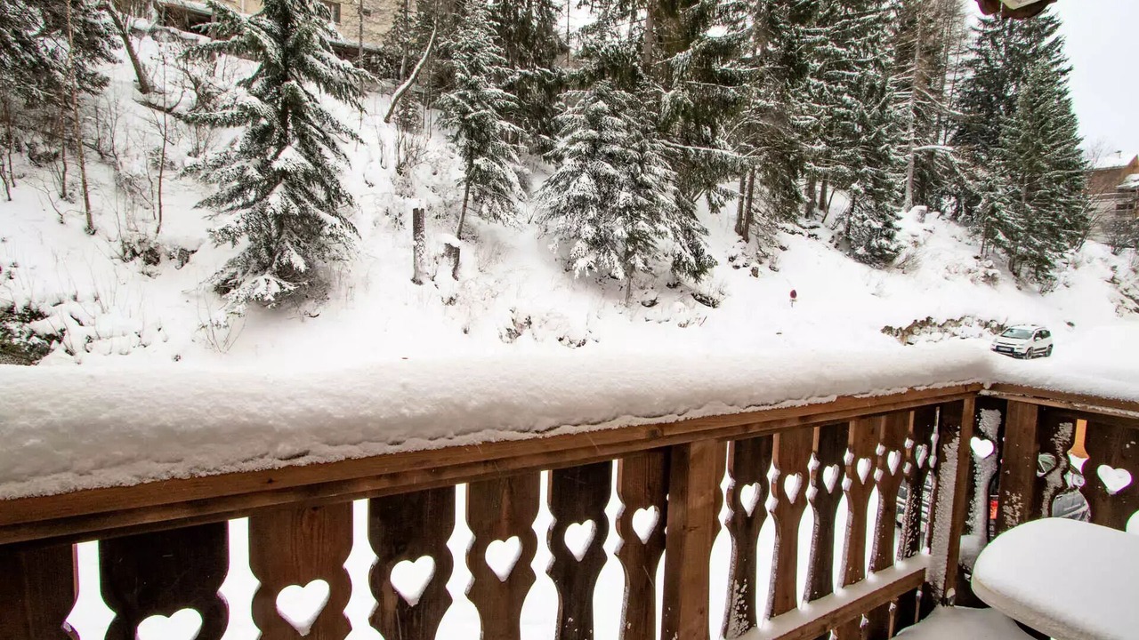Photo of Outdoor in Valfrejus