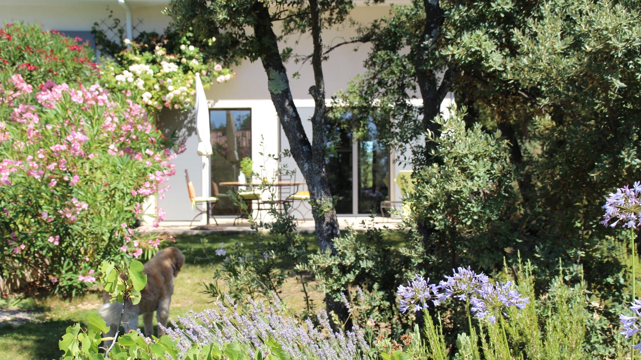 Photo of Outdoor in Saint-Marc-Jaumegarde