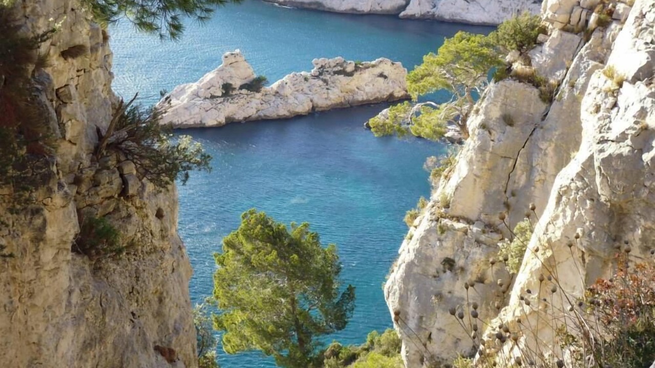 Photo of Others in Saint-Marc-Jaumegarde