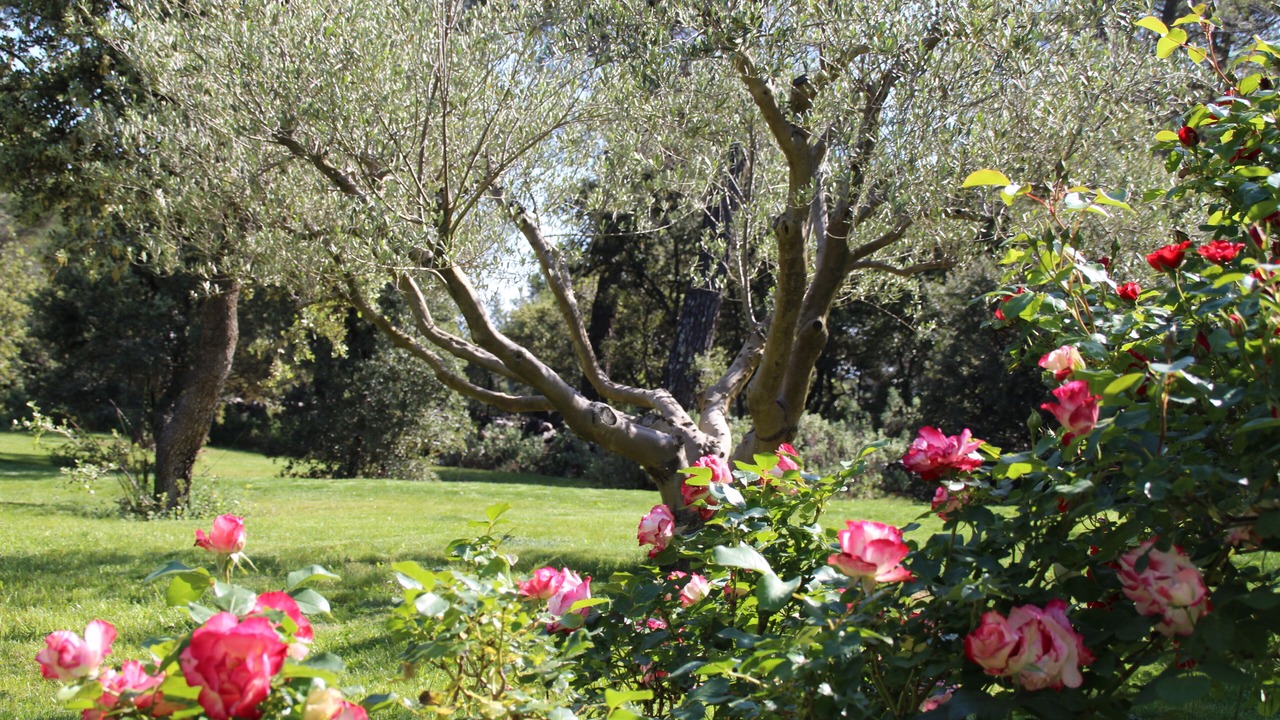 Photo of Outdoor in Saint-Marc-Jaumegarde