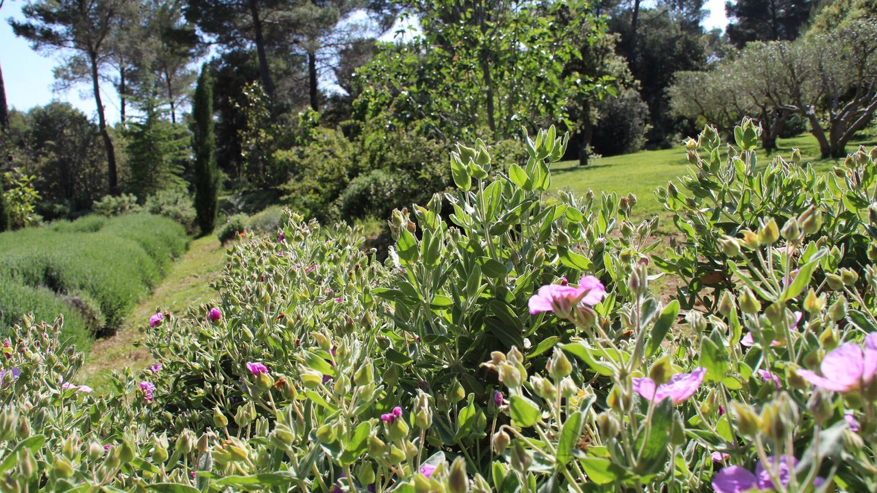 Photo of Outdoor in Saint-Marc-Jaumegarde