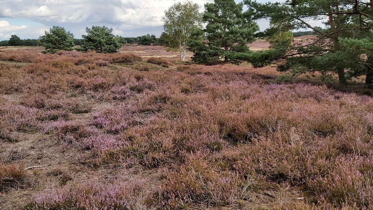 Photo of Outdoor in Jameln