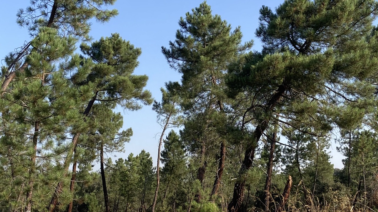 Photo of Outdoor in Vadocondes