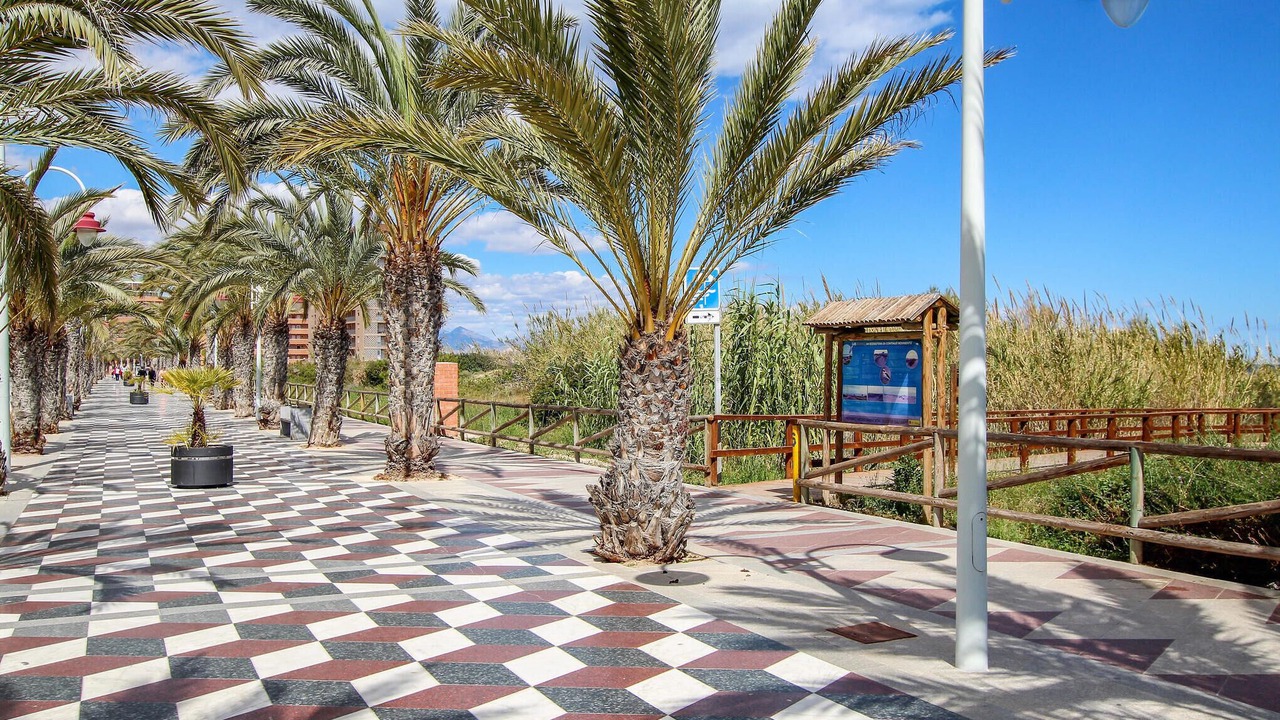 Photo of Others in Els Arenals del Sol