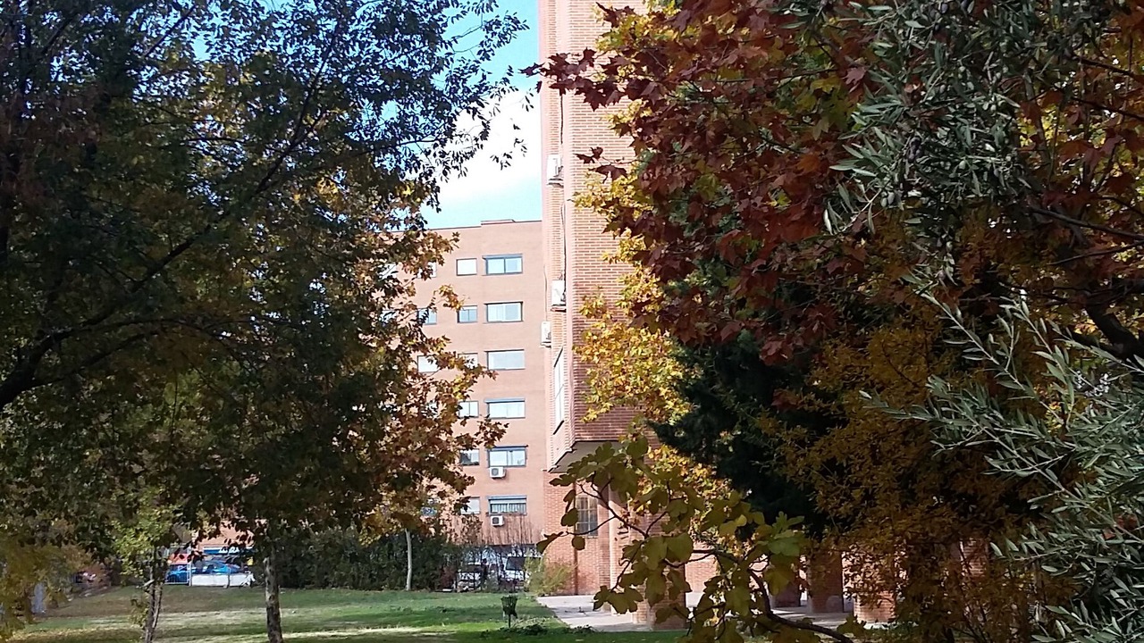 Photo of Outdoor in Hortaleza