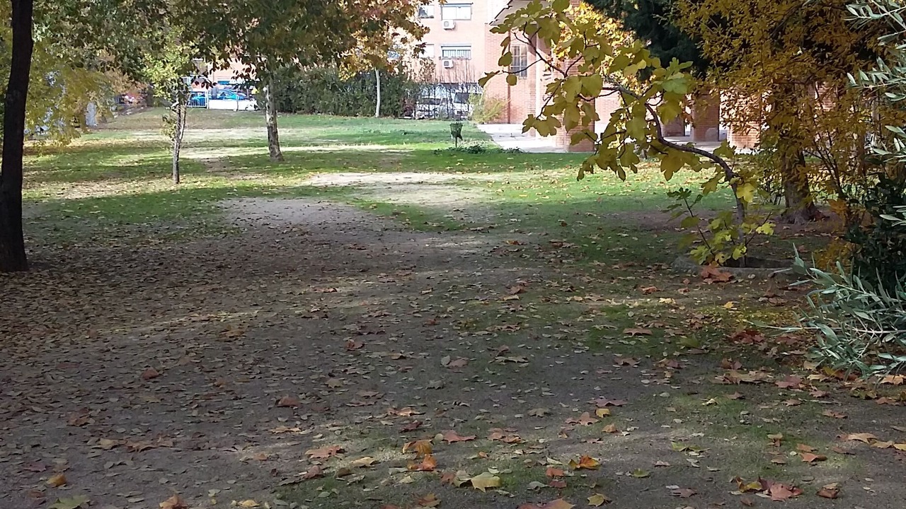 Photo of Outdoor in Hortaleza