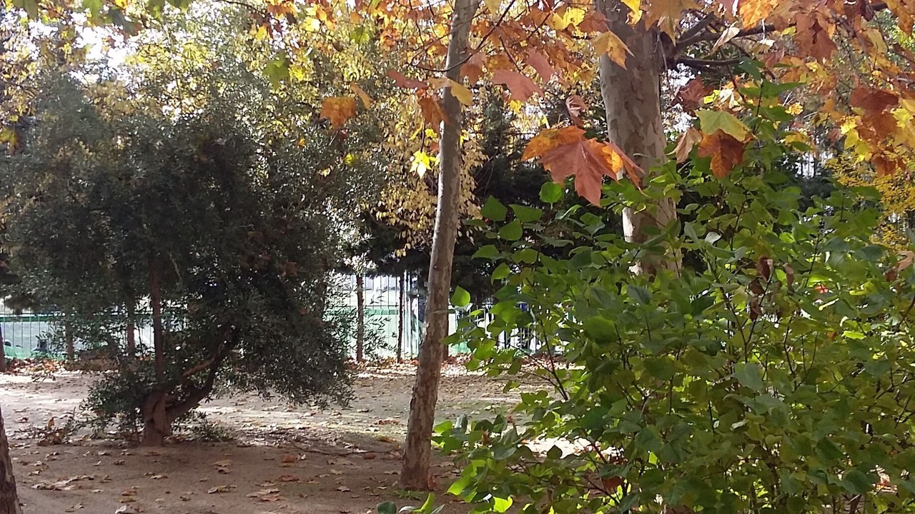 Photo of Outdoor in Hortaleza