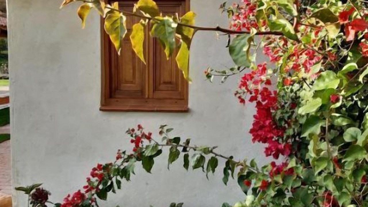 Photo of Outdoor in Candeleda