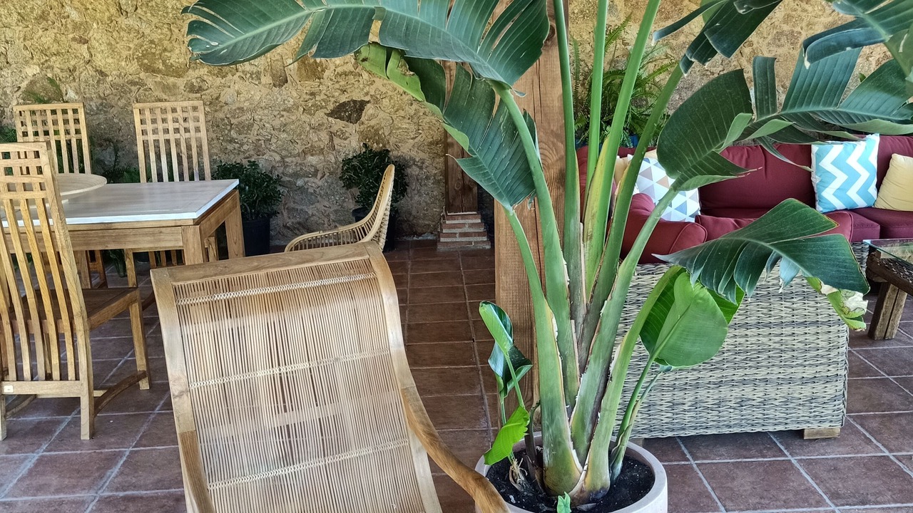Photo of Outdoor in Candeleda