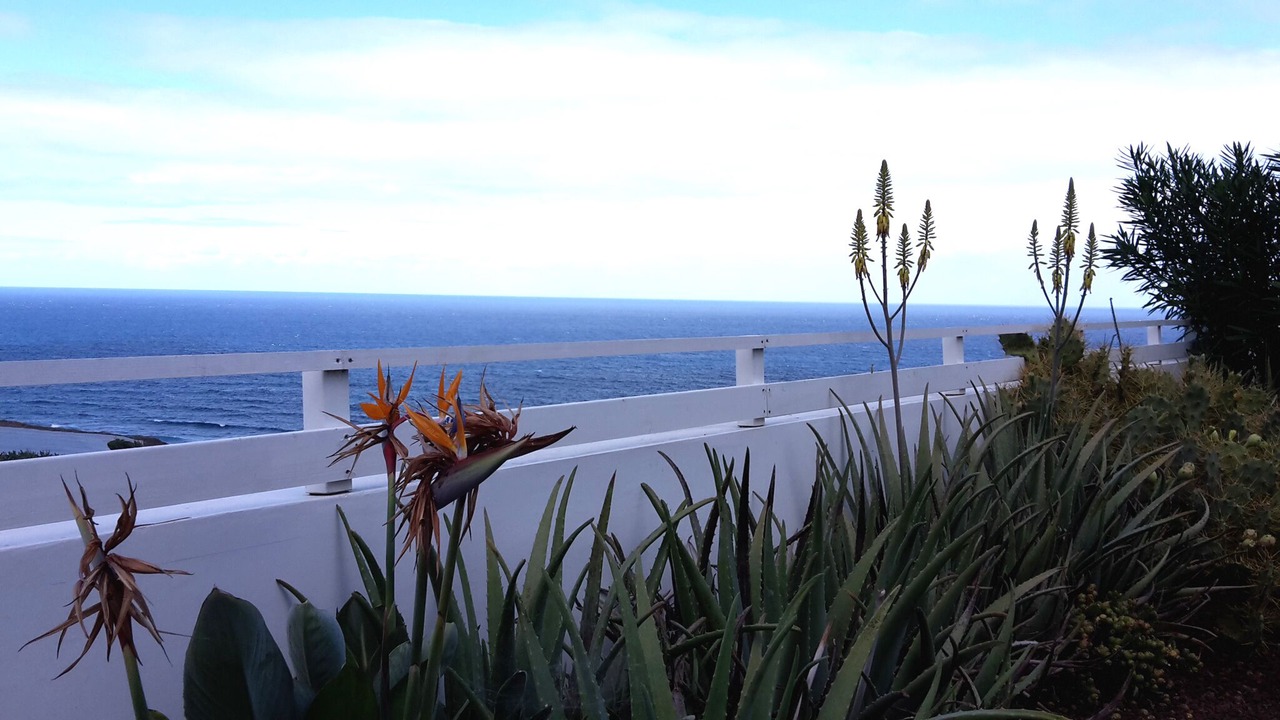 Photo of Outdoor in Garachico