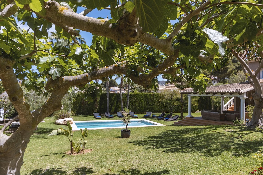Photo of Outdoor in El Tosalet