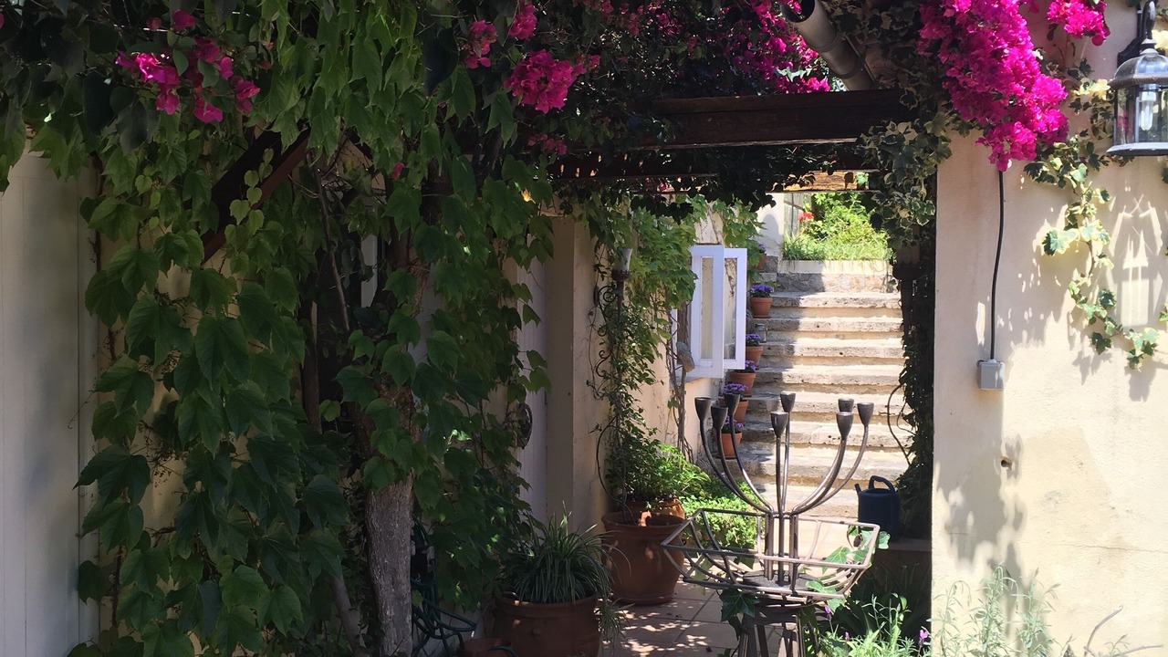 Photo of Outdoor in Portals Nous