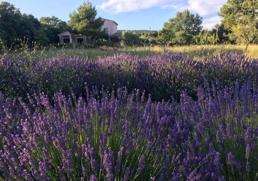 Photo of Outdoor in Croagnes