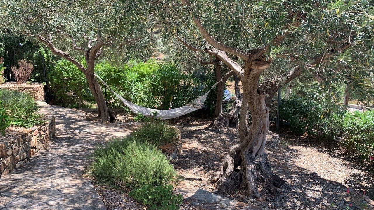 Photo of Outdoor in El Mas Fumats