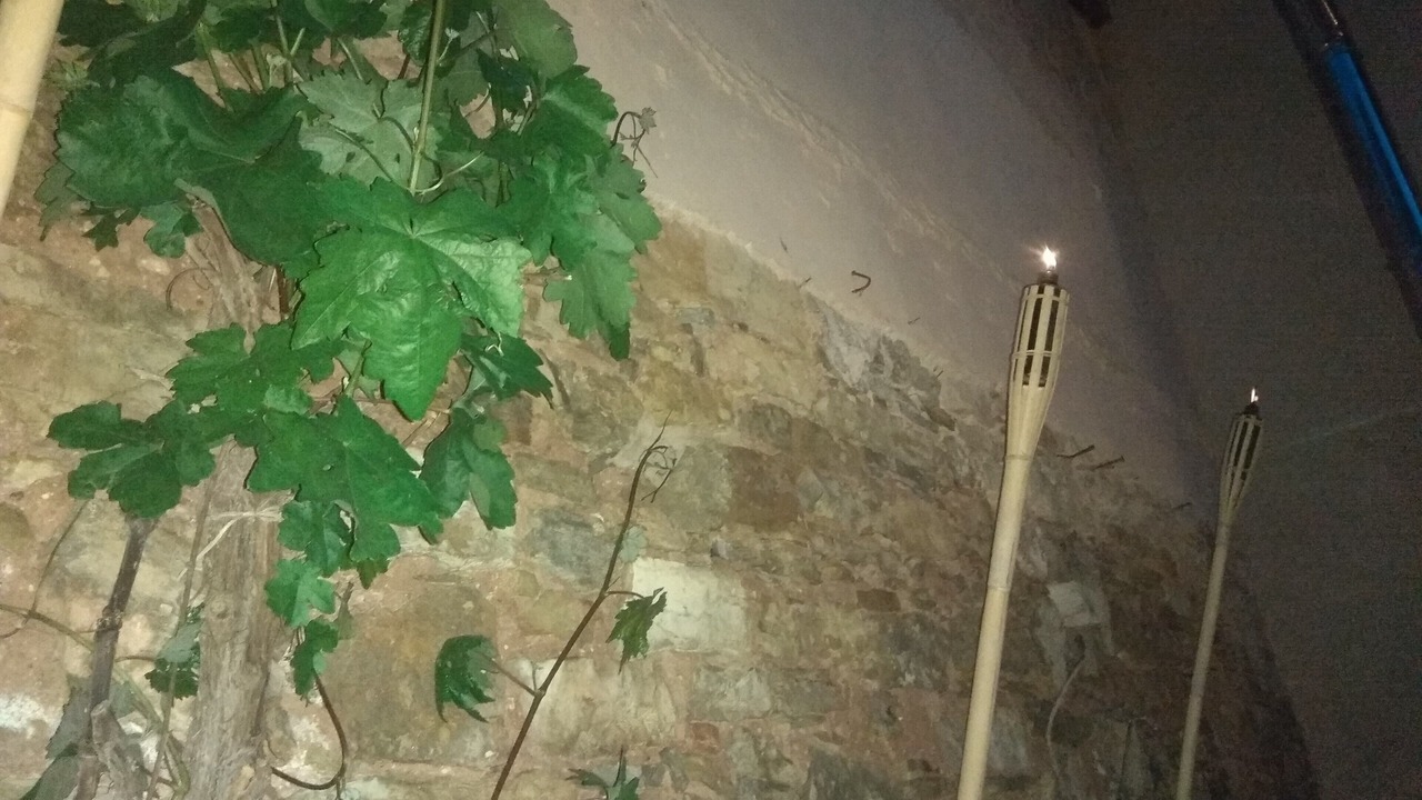 Photo of Others in Siguenza
