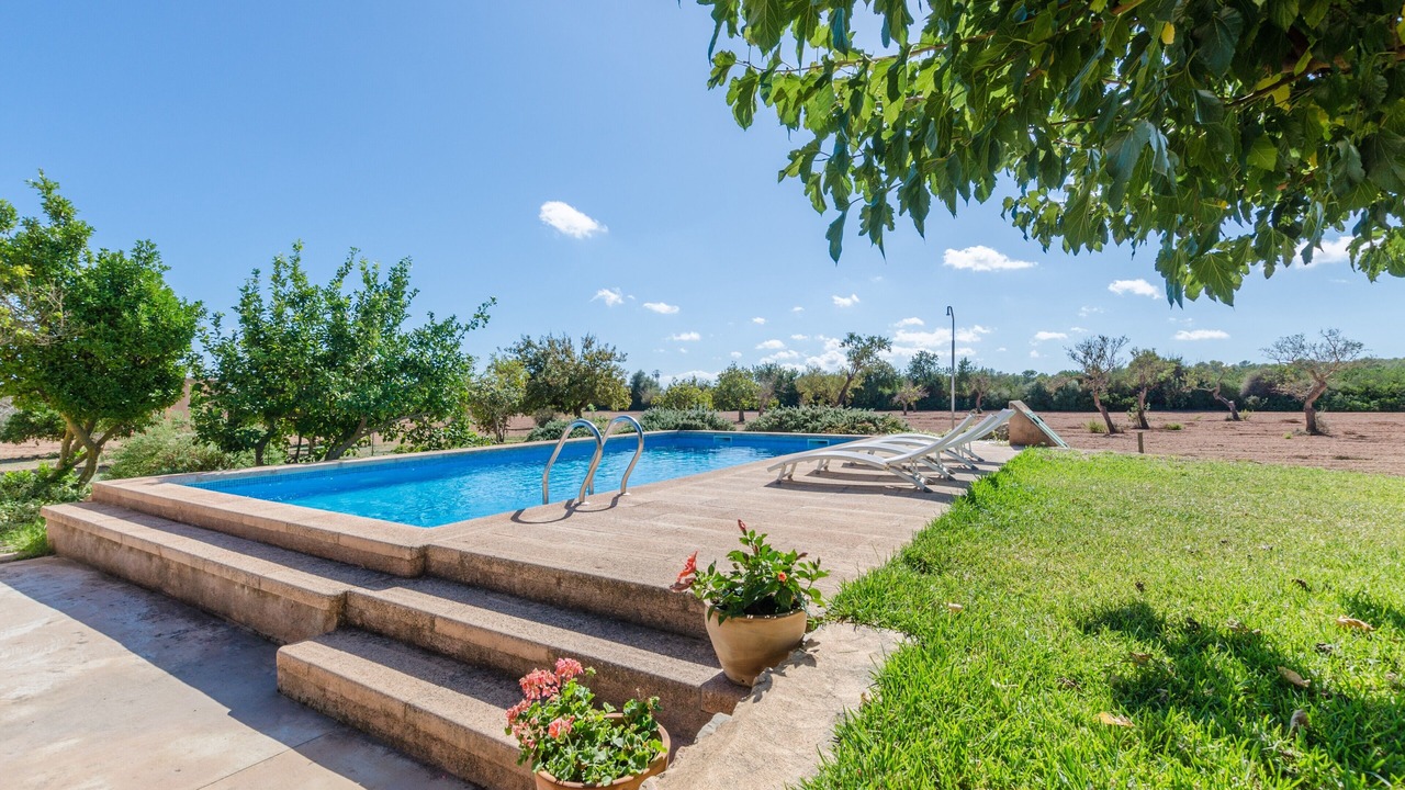 Photo of Outdoor in Porreres