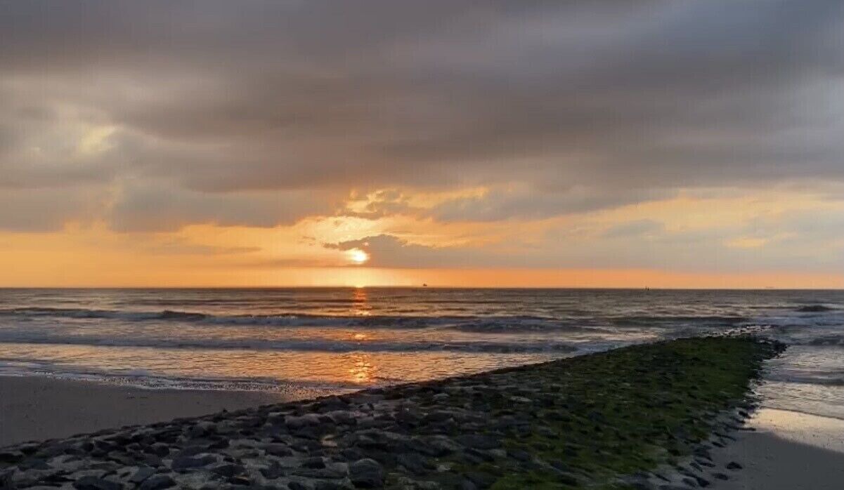 Photo of Others in Norderney