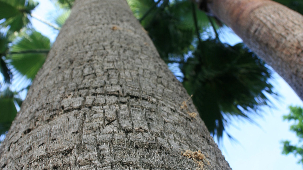 Photo of Outdoor in Cordoba