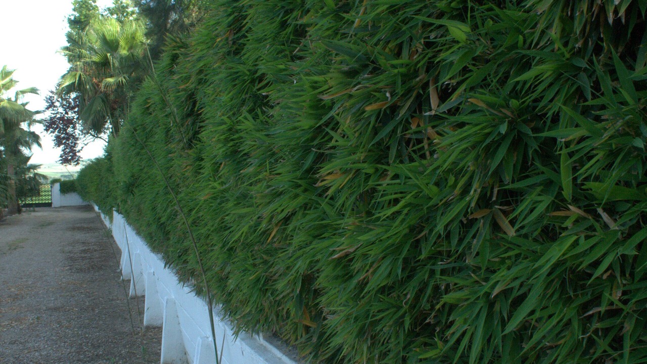 Photo of Outdoor in Cordoba