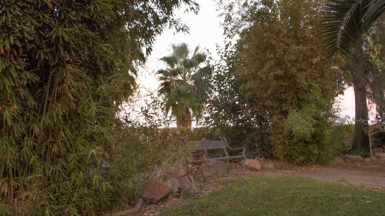 Photo of Outdoor in Cordoba