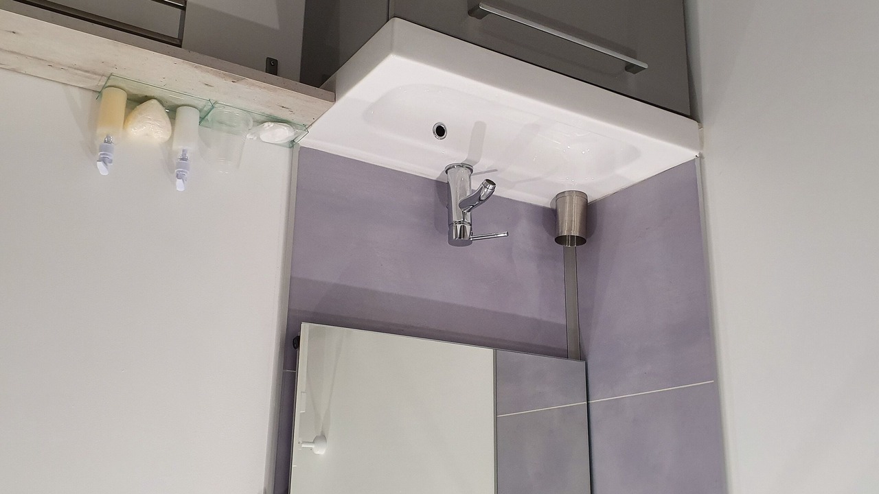 Photo of Bathroom in Lens
