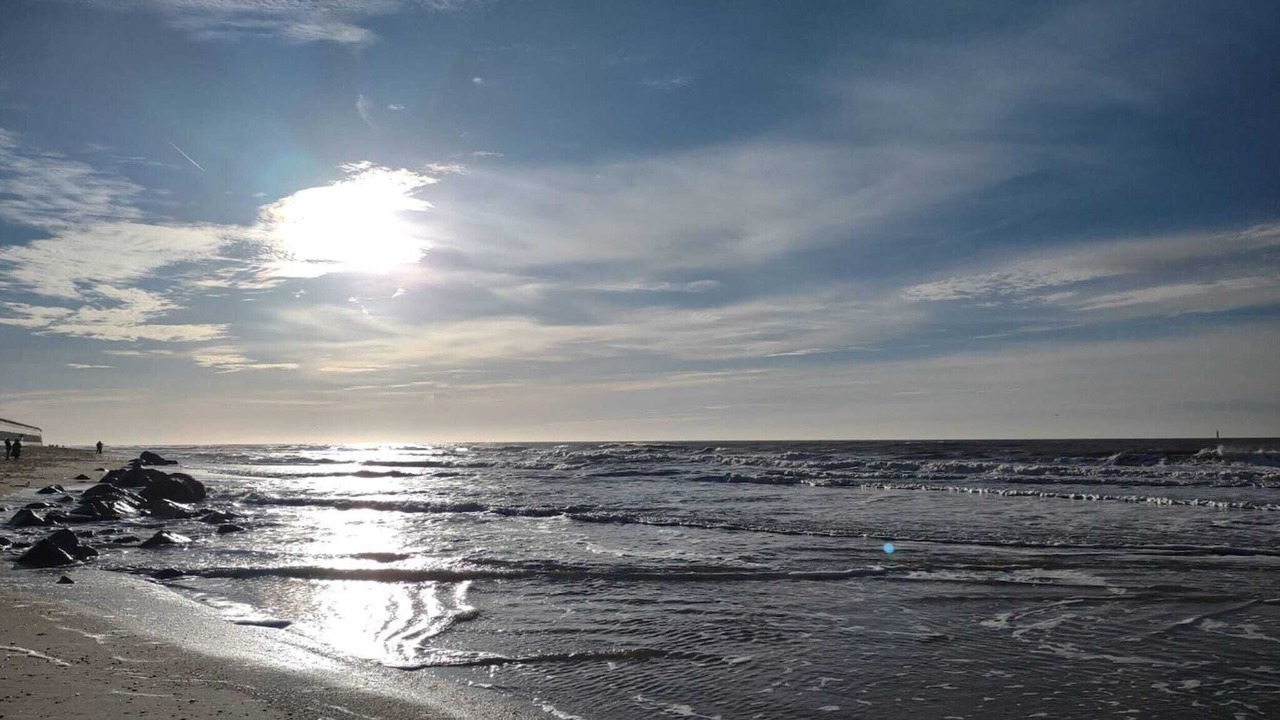 Photo of Others in Westerland