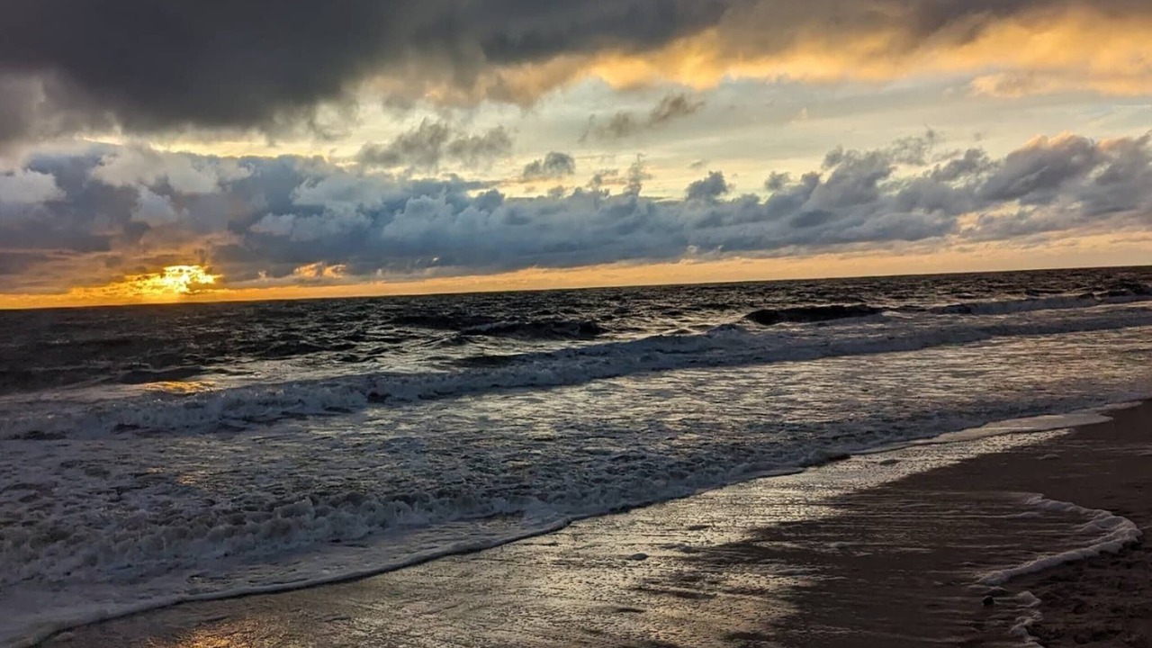 Photo of Others in Westerland