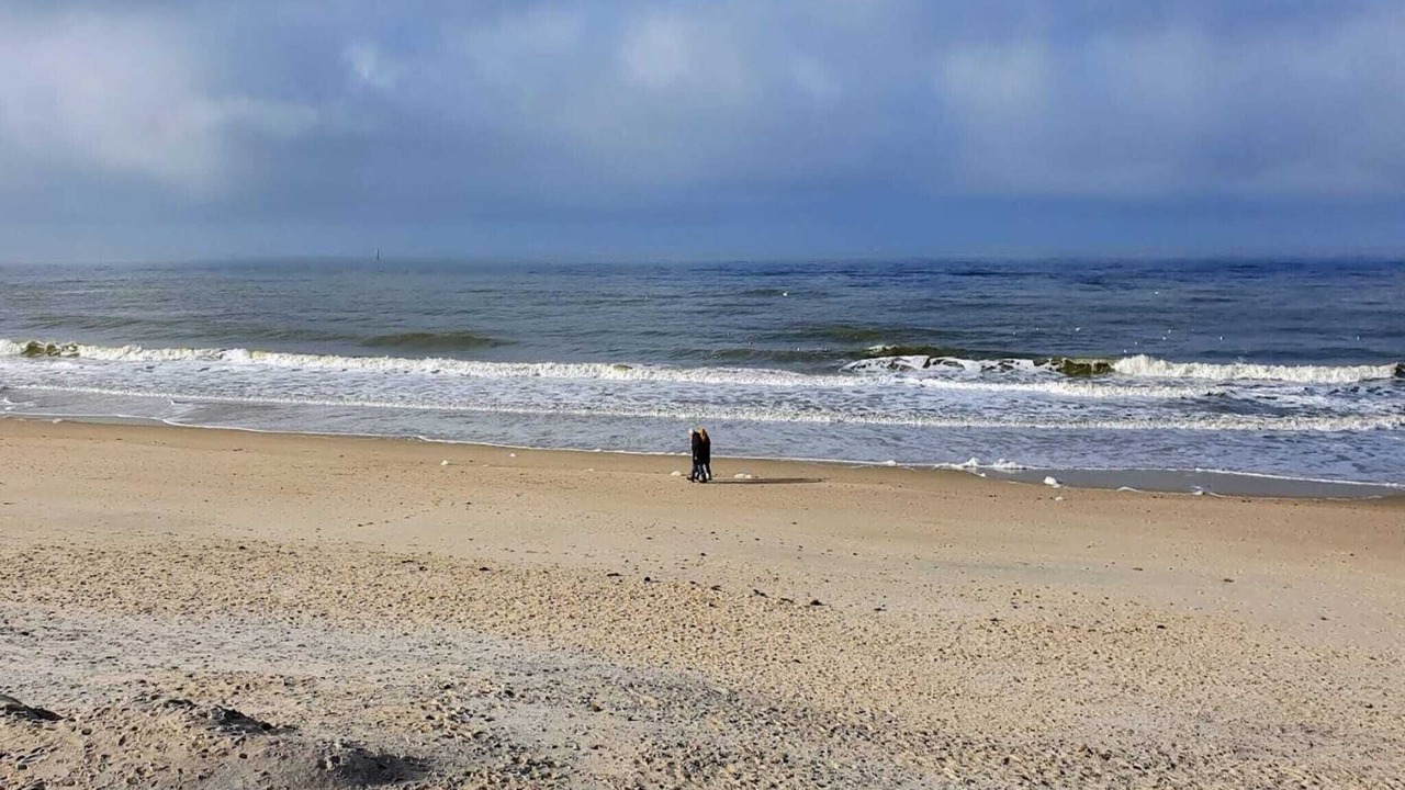 Photo of Others in Westerland