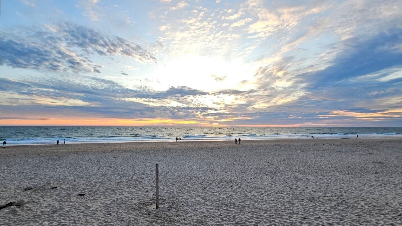Photo of Others in Westerland