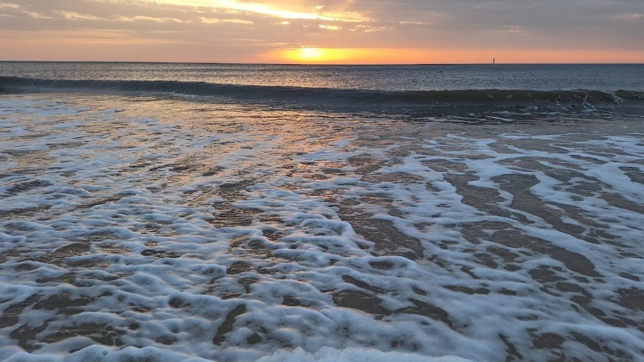 Photo of Others in Westerland
