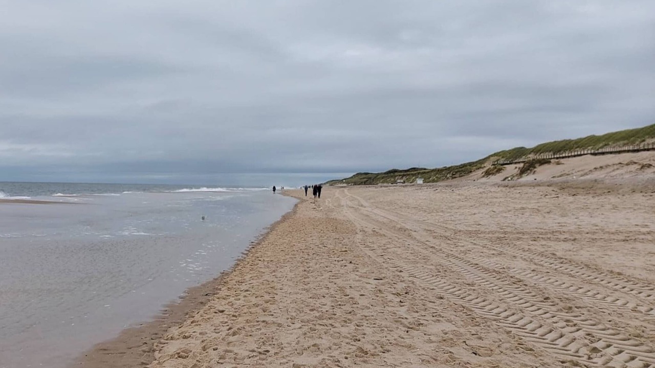 Photo of Others in Westerland