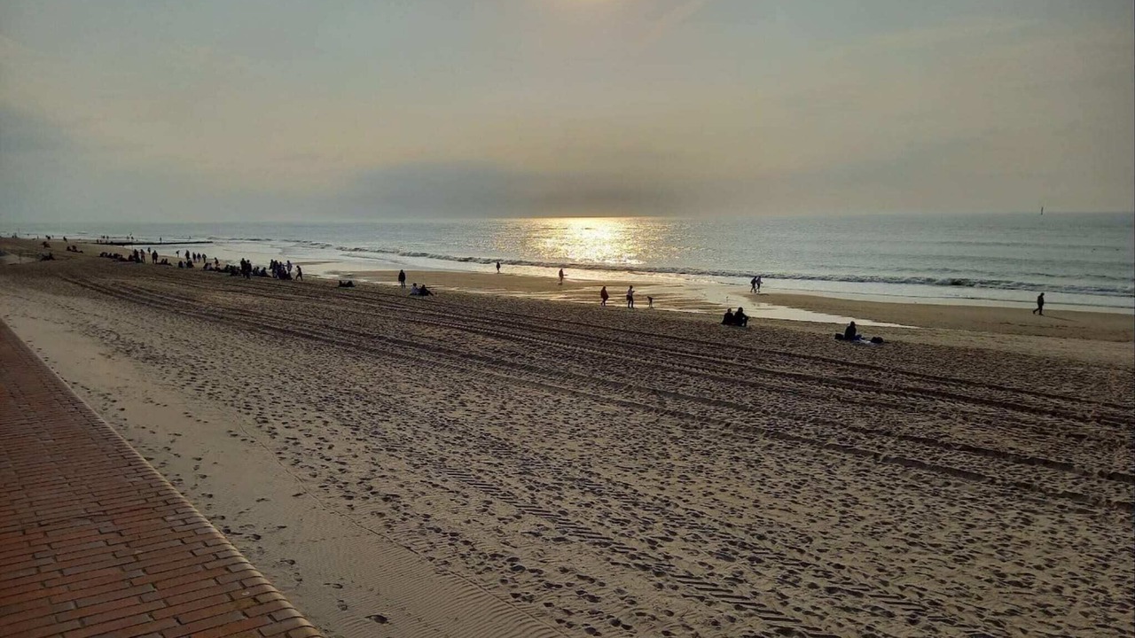 Photo of Others in Westerland