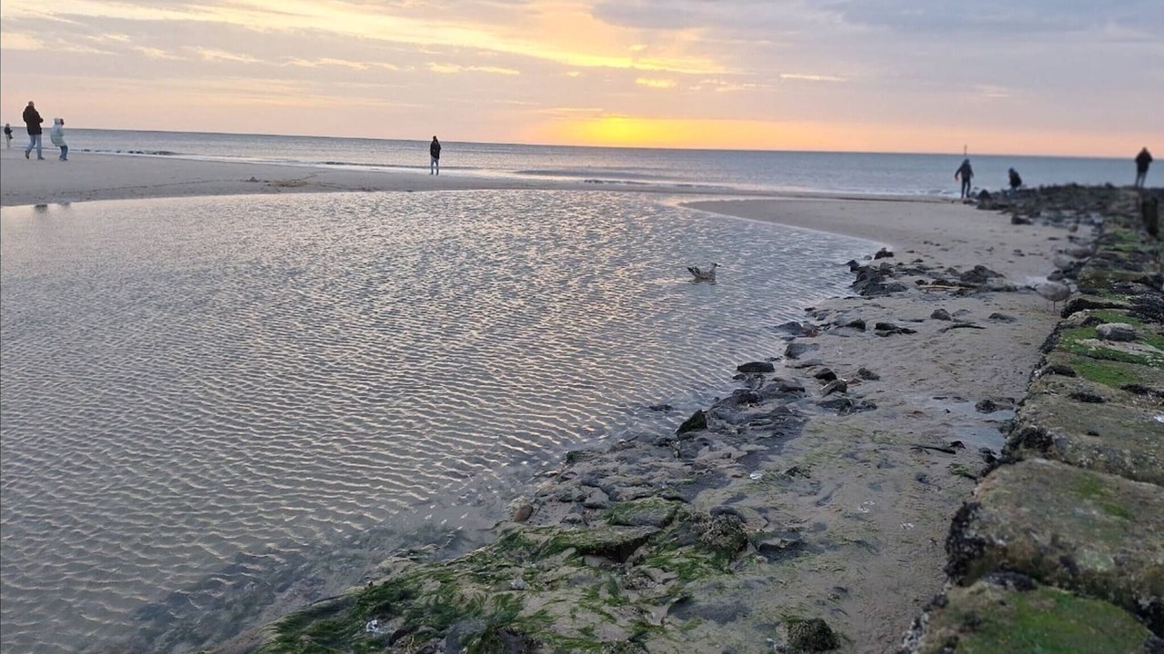 Photo of Others in Westerland