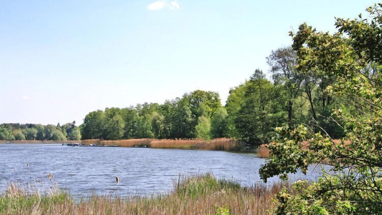 Photo of Others in Falkensee