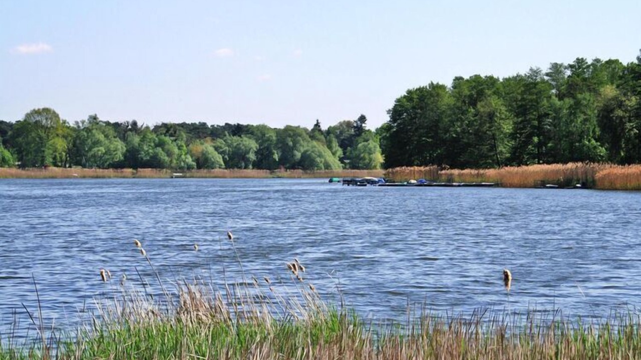 Photo of Others in Falkensee