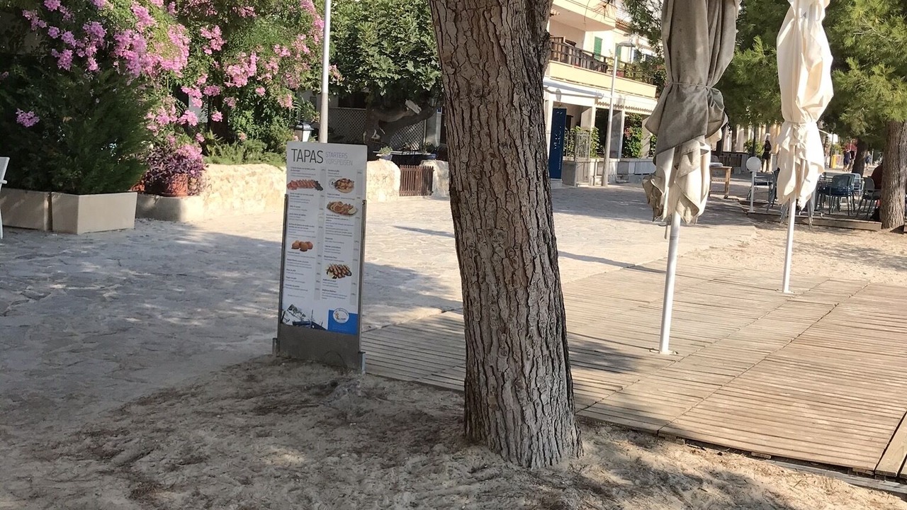 Photo of Outdoor in Puerto de Pollensa