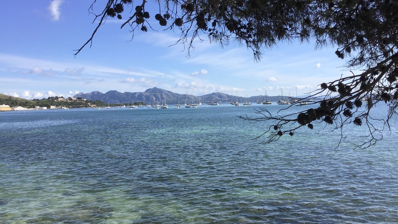 Photo of Others in Puerto de Pollensa