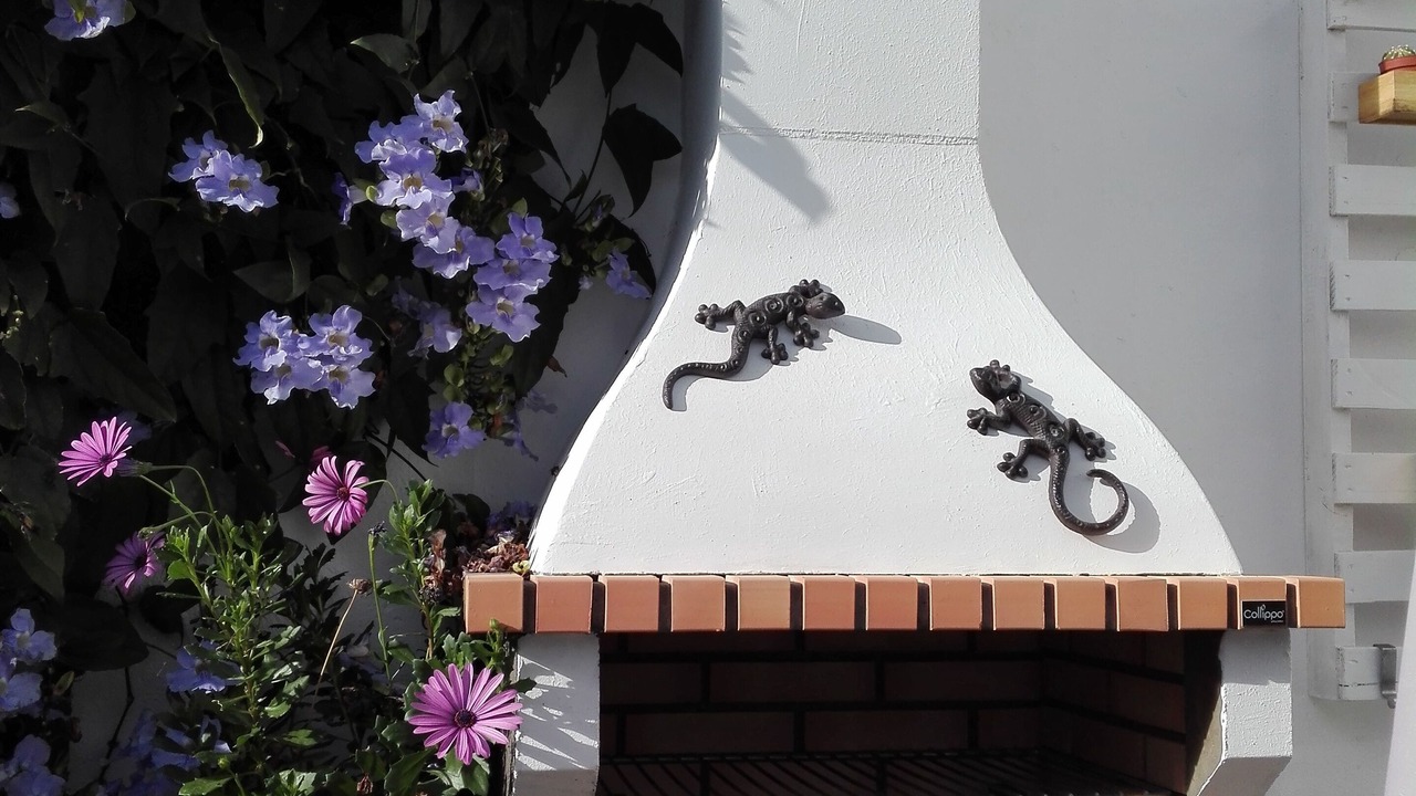 Photo of Outdoor in Buen Paso